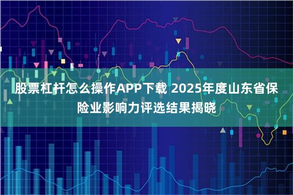 股票杠杆怎么操作APP下载 2025年度山东省保险业影响力评选结果揭晓