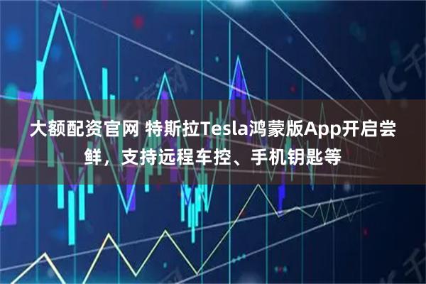 大额配资官网 特斯拉Tesla鸿蒙版App开启尝鲜，支持远程车控、手机钥匙等