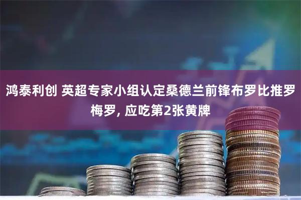 鸿泰利创 英超专家小组认定桑德兰前锋布罗比推罗梅罗, 应吃第2张黄牌